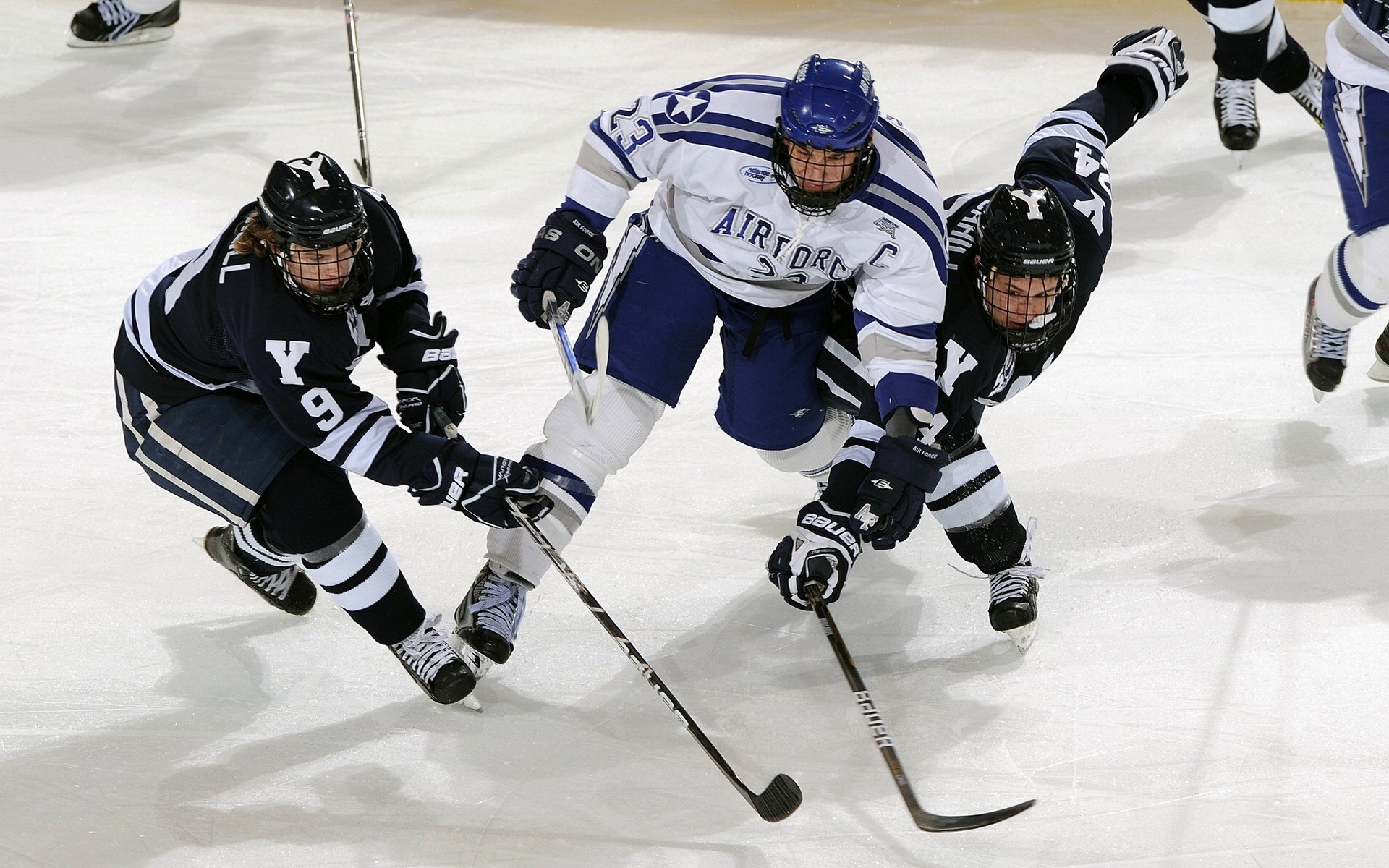 “尼克斯球迷狂欢，主场迎来关键胜利”，尼克斯大牌球迷