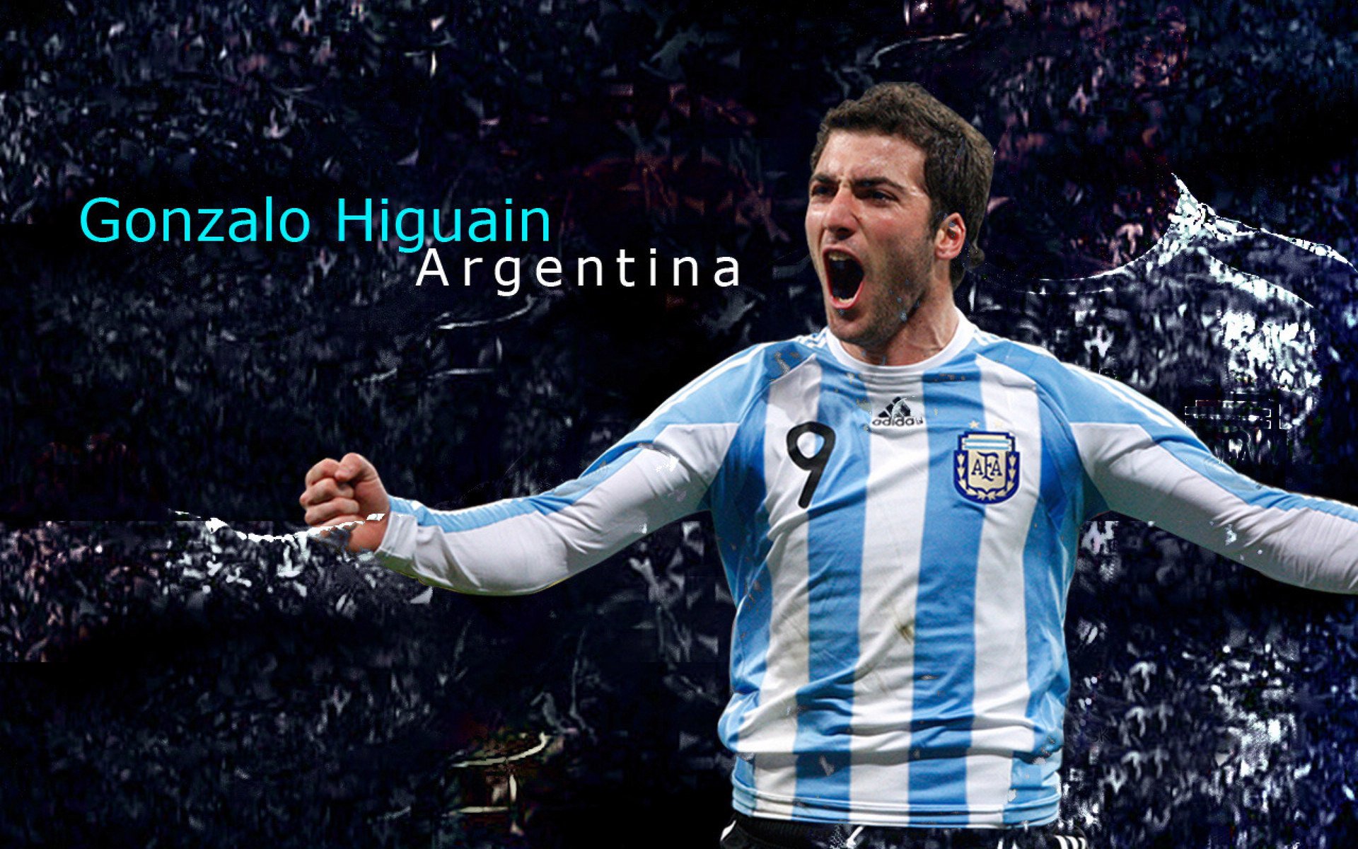 荷兰队在国家联赛中4-0大胜匈牙利，晋级四分之一决赛。，荷兰队对战